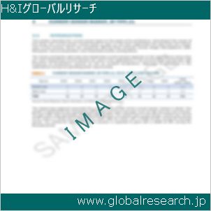 グローバルリサーチ調査レポートのイメージ